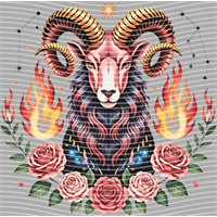 Constellation-XZ 189